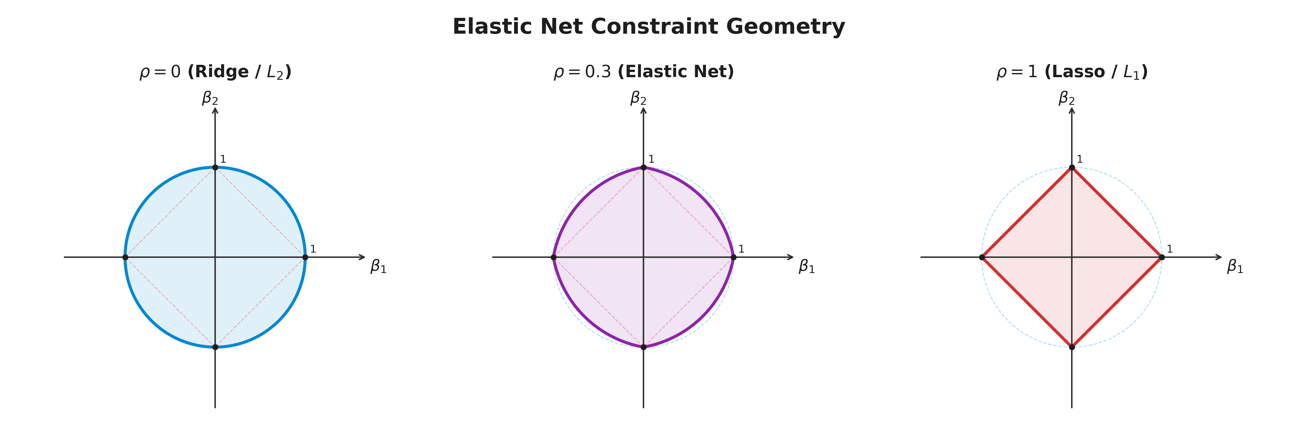 Elastic Net Geometry