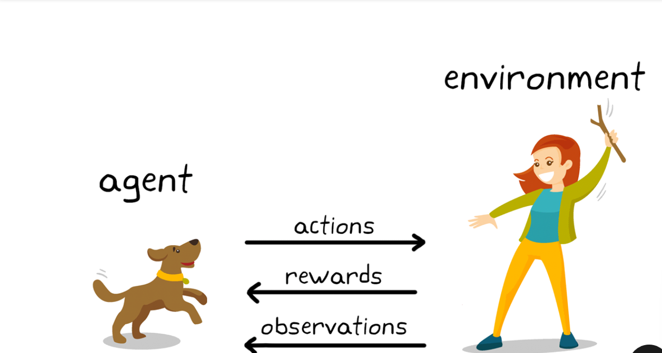 Sit, Stay, Learn: Reinforcement Learning Explained